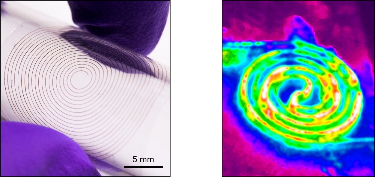 research – Bai Lab