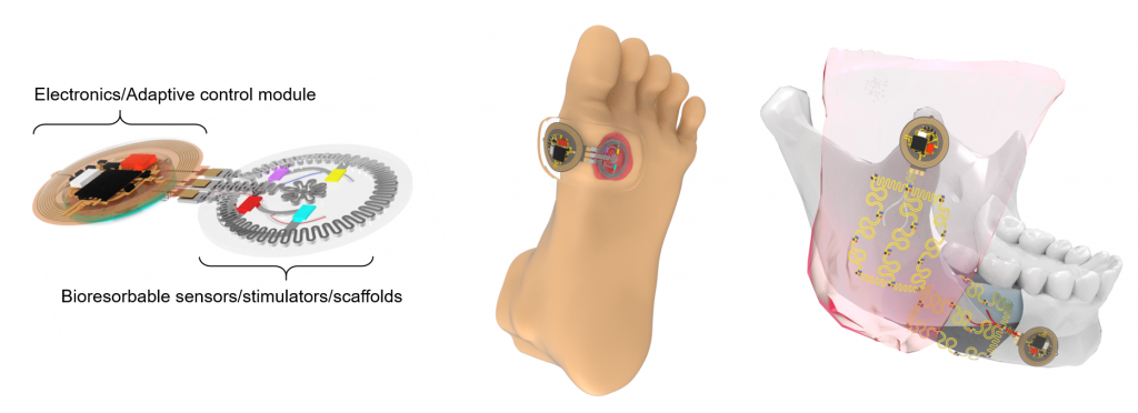 research – Bai Lab
