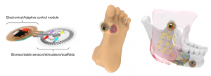 research – Bai Lab