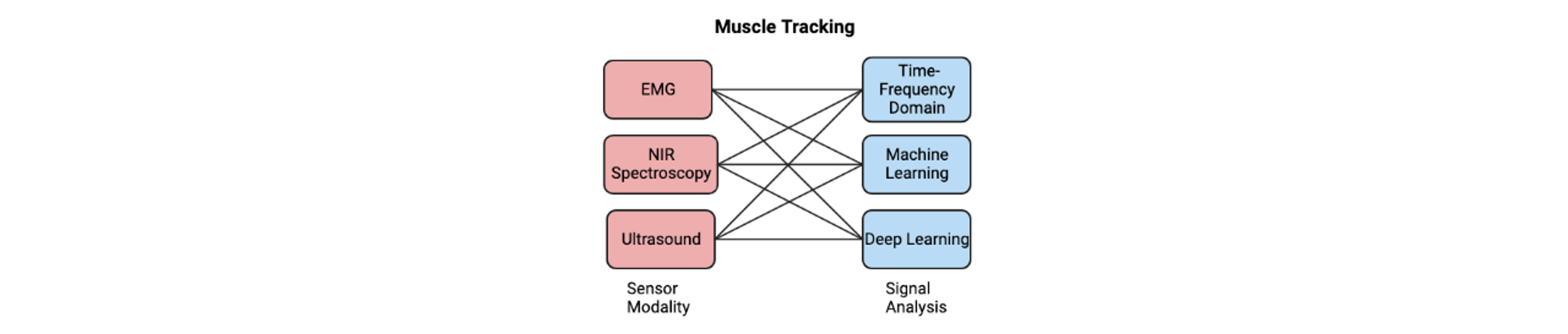 muscle_tracking