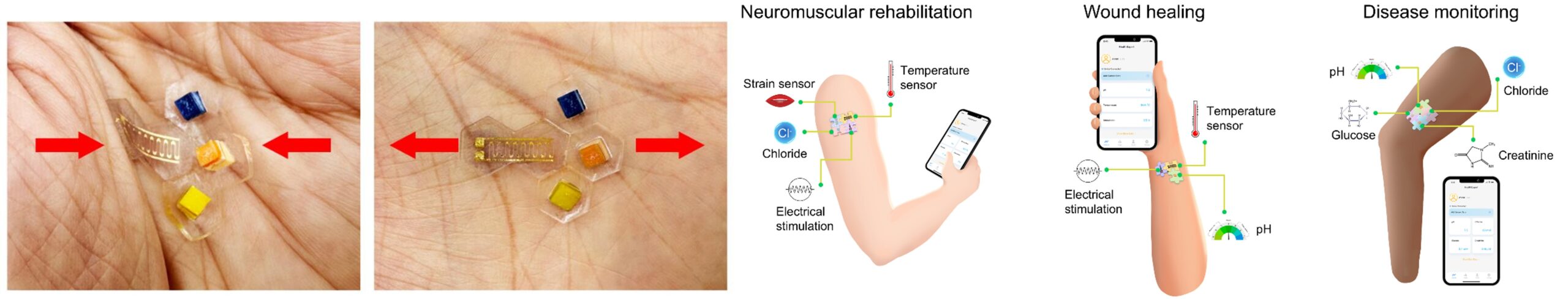 module_wearable_sensors.png