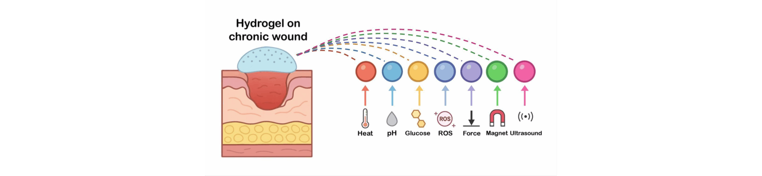 review_hydrogel