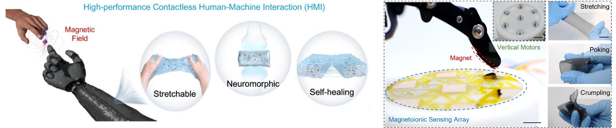 magnetoionics